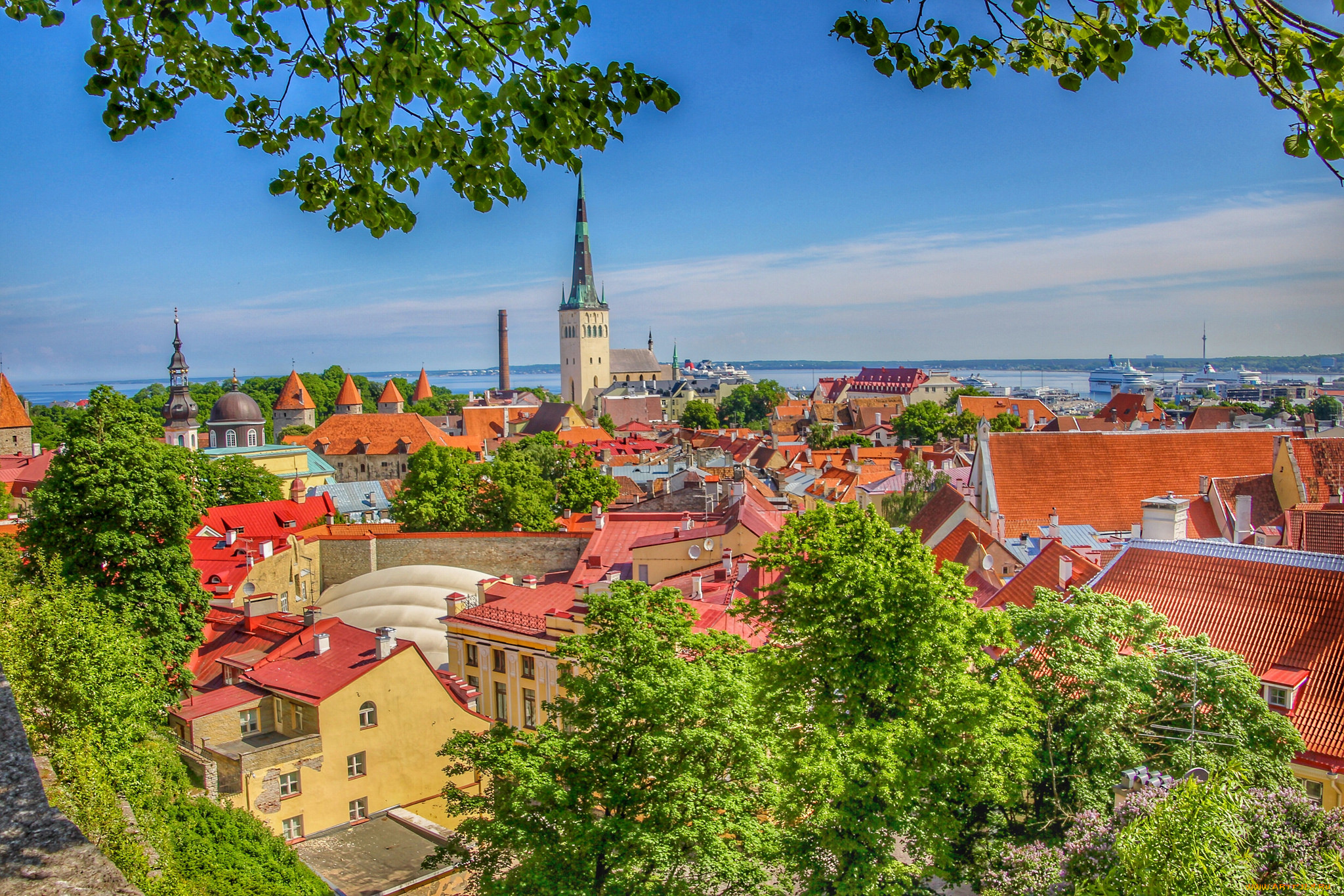 old town,  tallinn,  estonia, ,  , , 